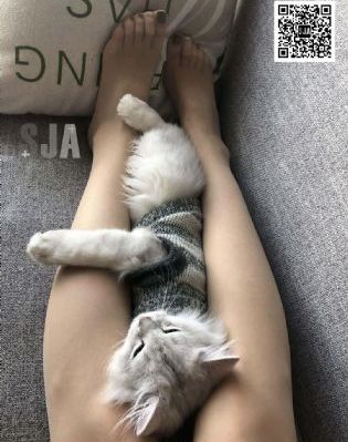 大牛影视剧免费播放