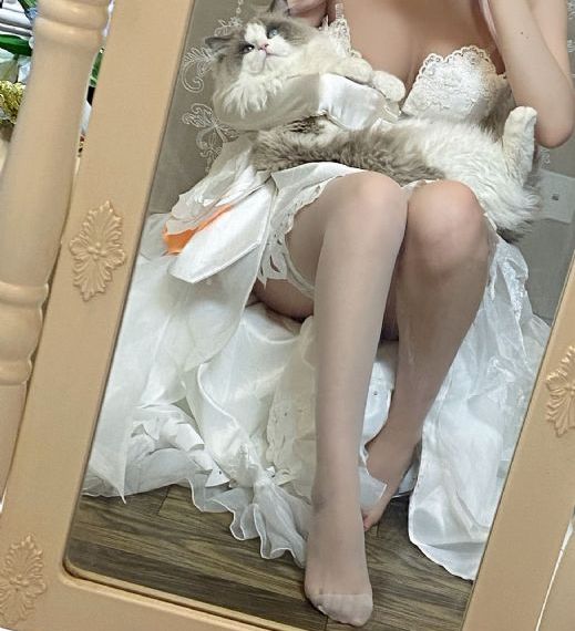 孤舟免费观看完整版电视剧