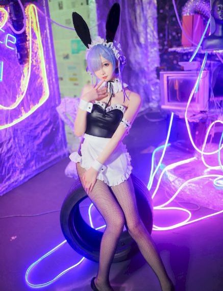完美伴侣