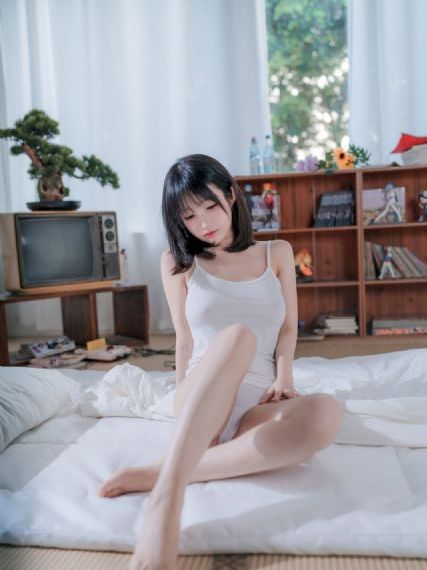 爱情公寓在线观看