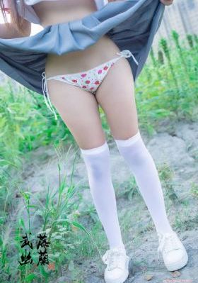 信托方案
